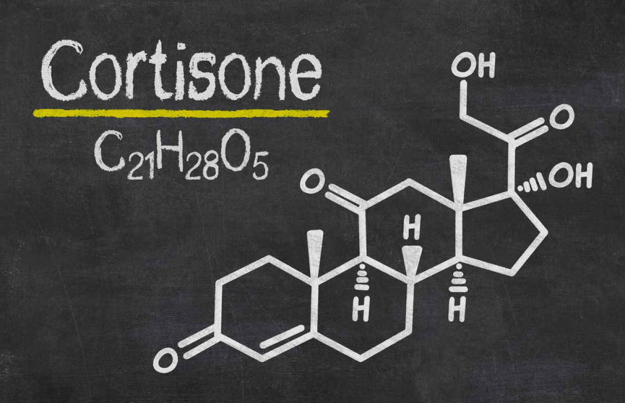 Stud Cortisone injections are more dangerous than previously thought