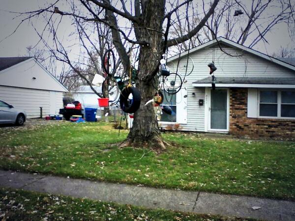 Branch Collection Program Expanded.