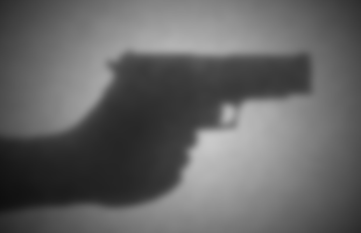 Illinois House Democrats pass firearm omnibus bill helping domestic violence survivors