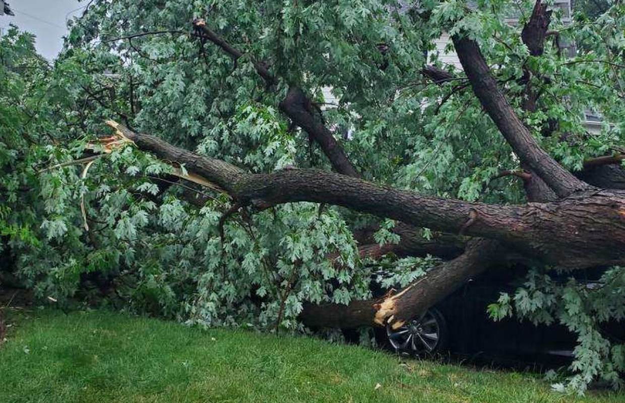 30K CWLP customers affected by storm 30K CWLP customers affected by storm