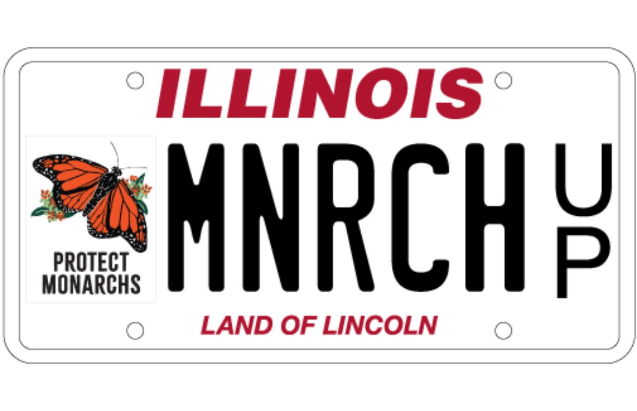 Monarch butterfly license plates Monarch butterfly license plates