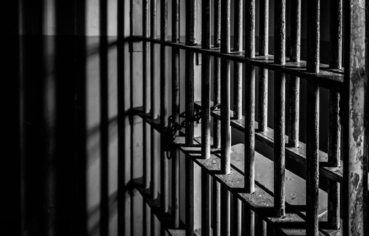 Prison bars