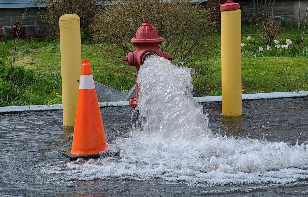 Fire hydrant flush