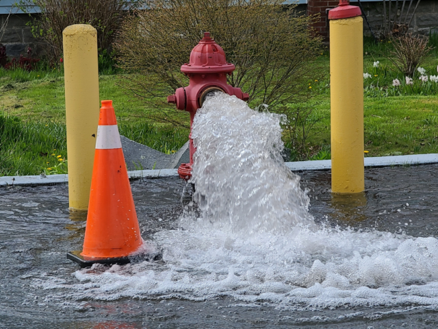 Fire hydrant flush